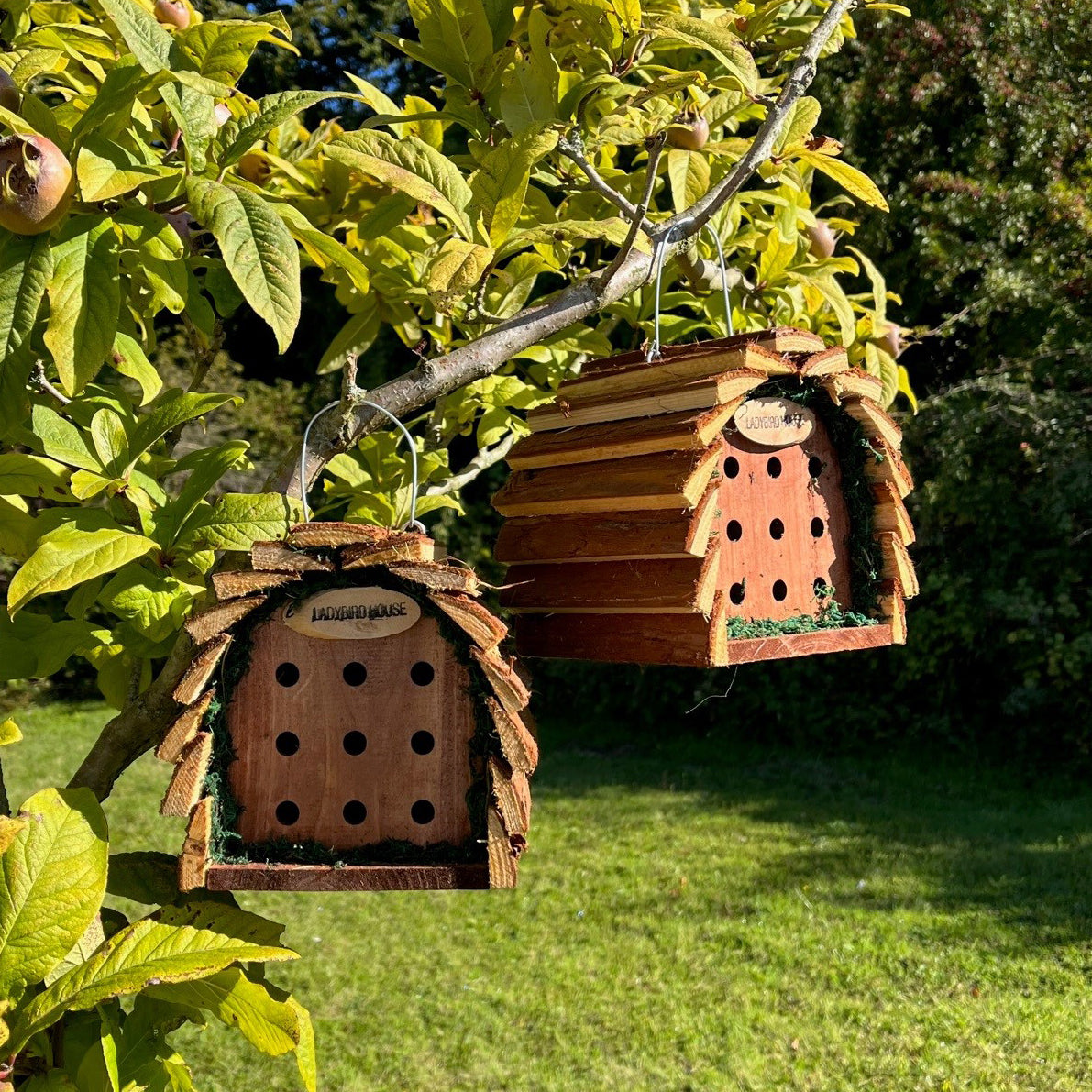 Wooden Hanging Ladybird House (Set of 2)