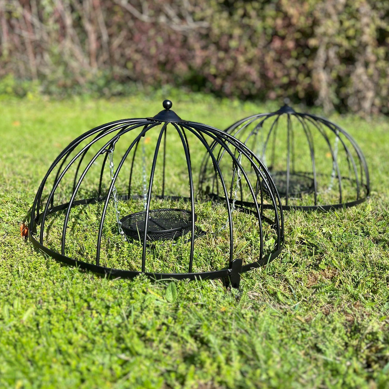 Ground Bird Feeder Haven Cage (Pack of 2)