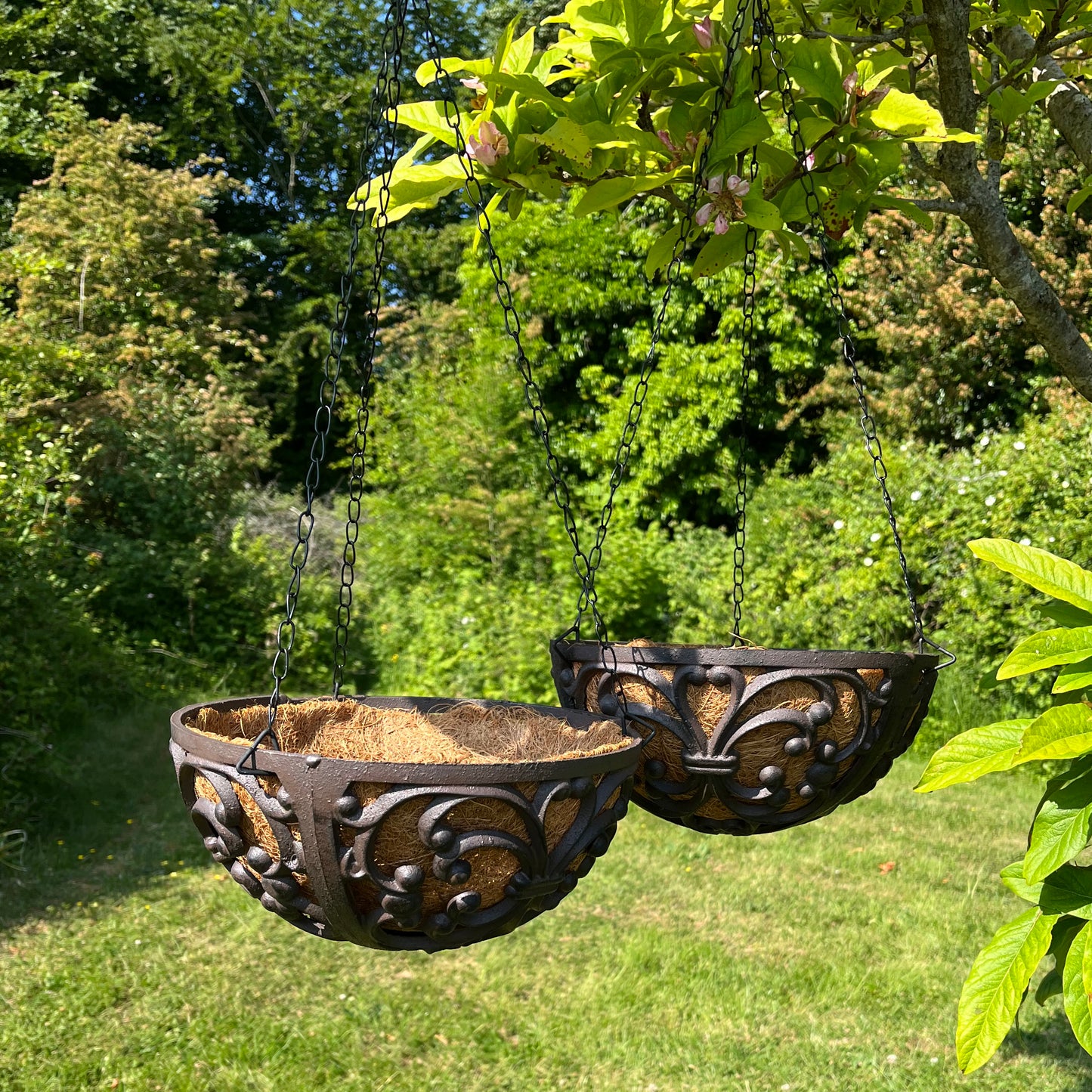 plants that like to hang Cast Iron Garden Hanging Basket Planters (25.5cm)