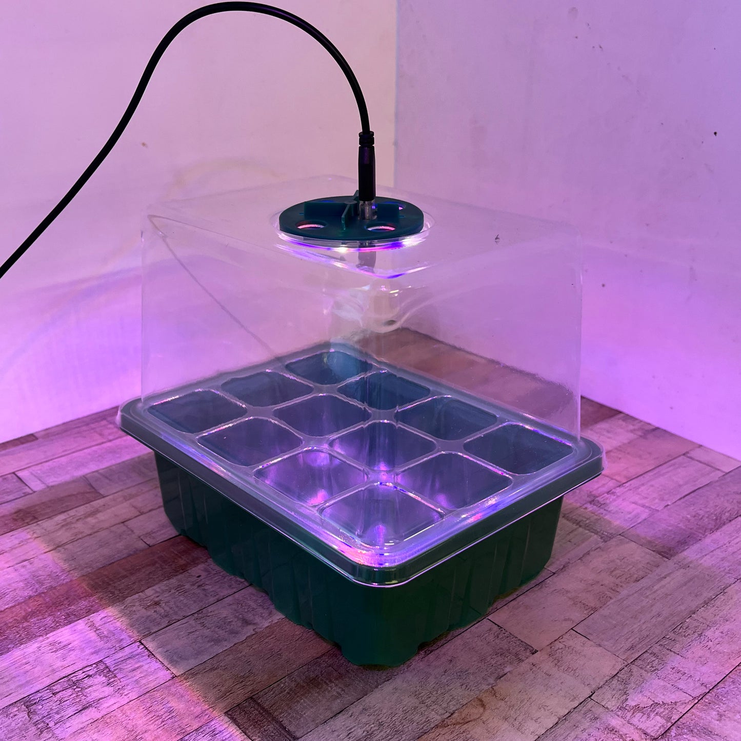 Plant Propagator Seed Tray Set with Full Spectrum USB Grow Lights (Pack of 5)