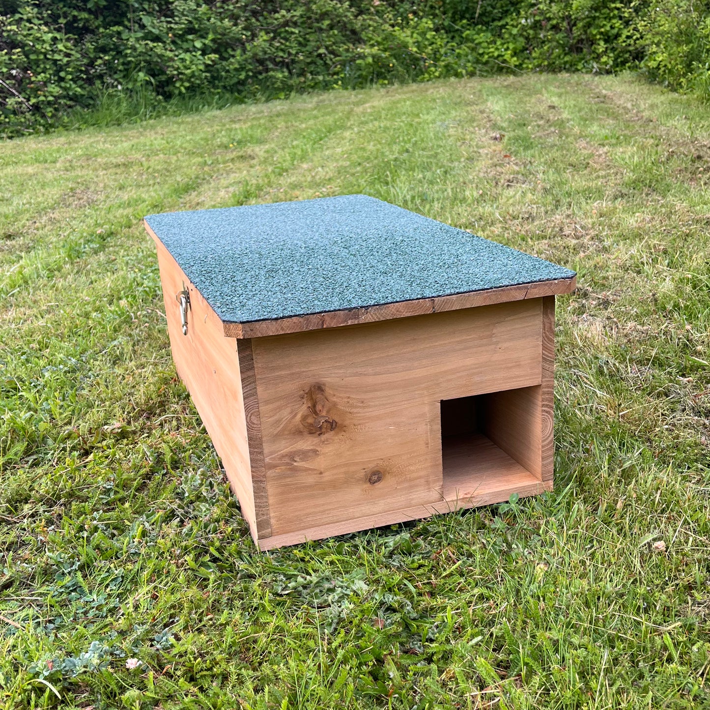 Wooden Hedgehog Feeding Station House