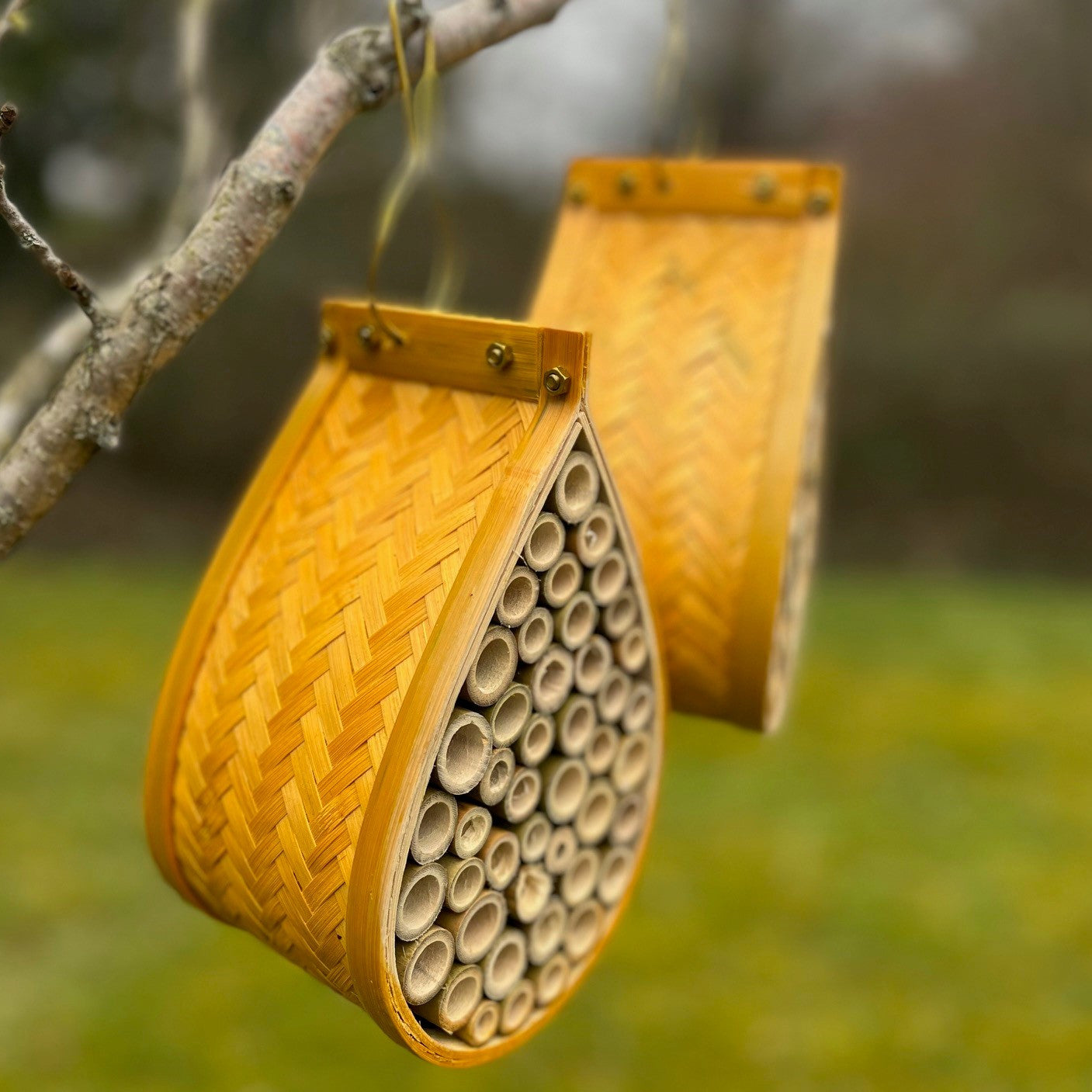 Hanging Teardrop Insect Hotel (Set of 2)