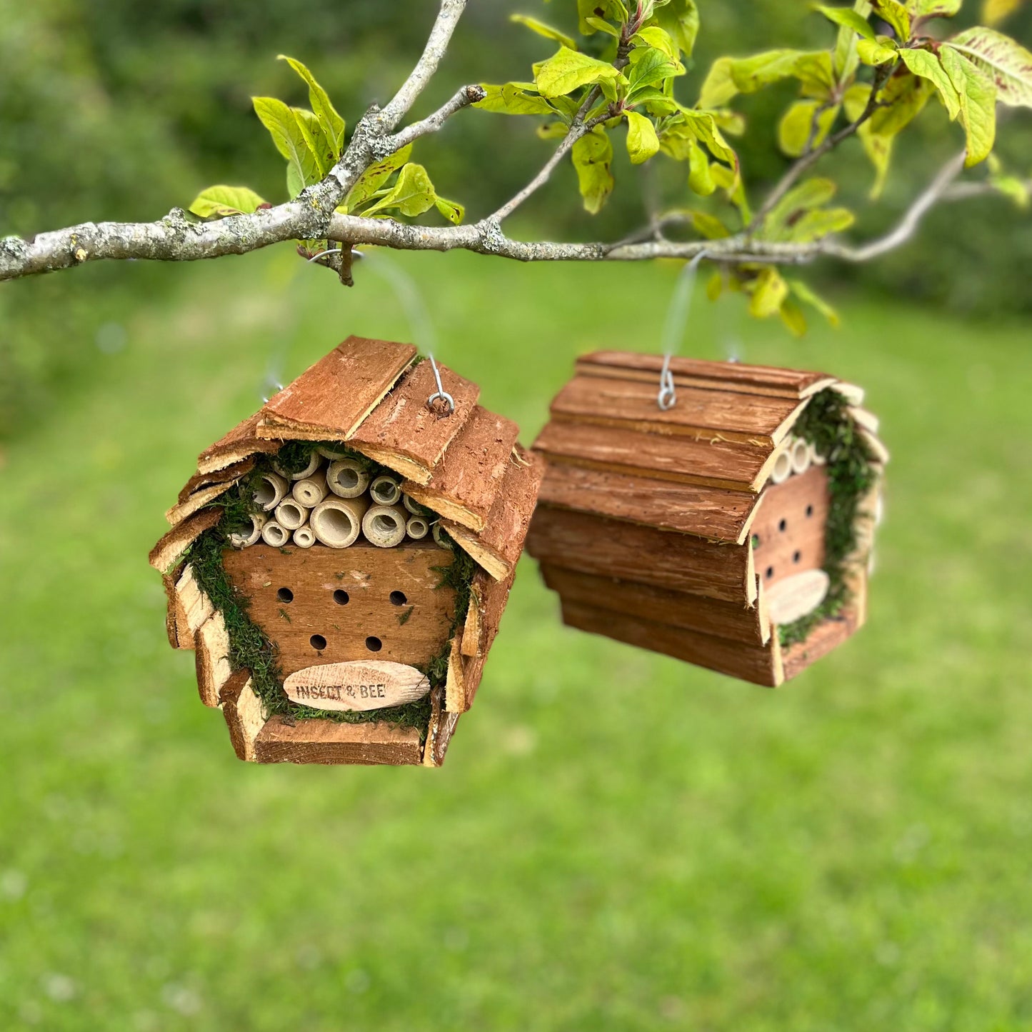 Wooden Hanging Insect, Bug and Bee Hotel (Set of 2)