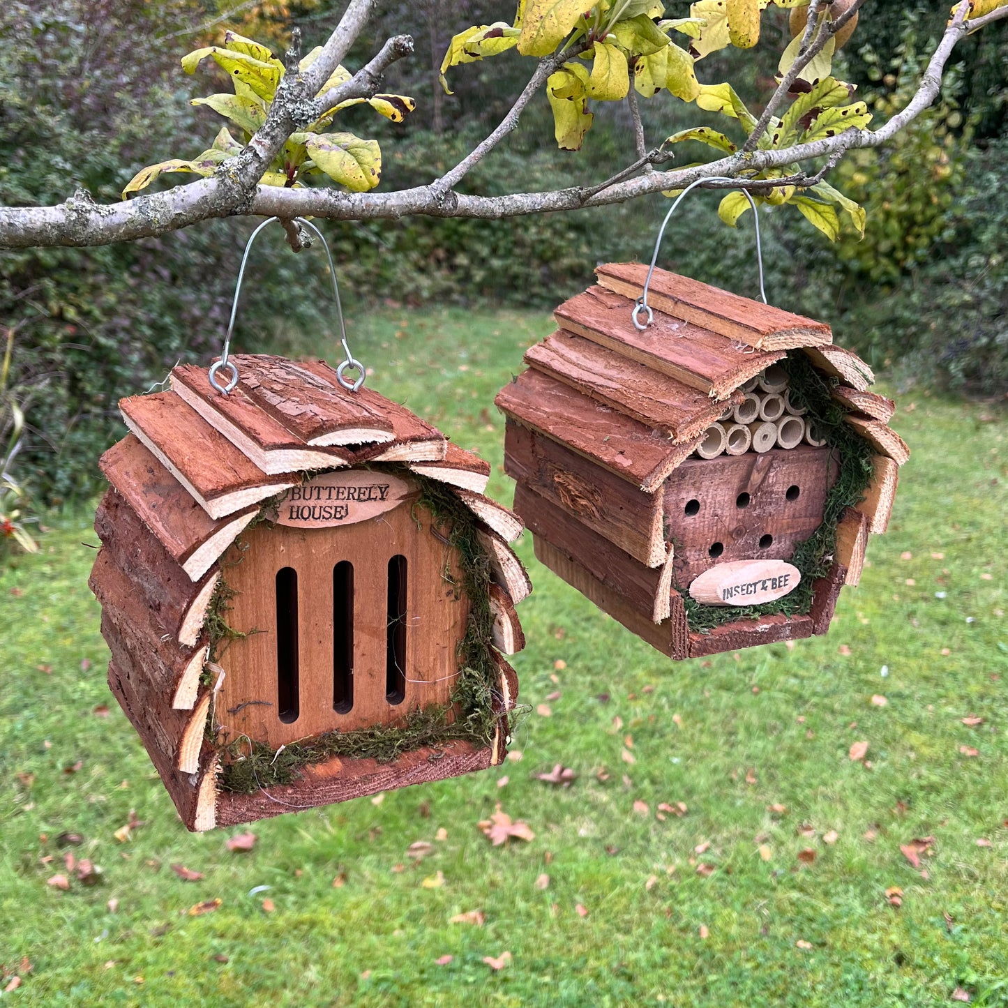 Wooden Hanging Butterfly & Insect House Set