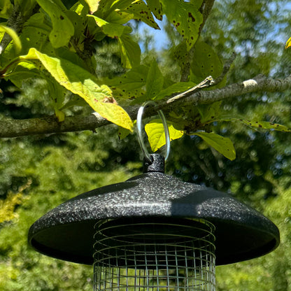 Large Hanging Steel Bird Nut Feeder (Set of 2)