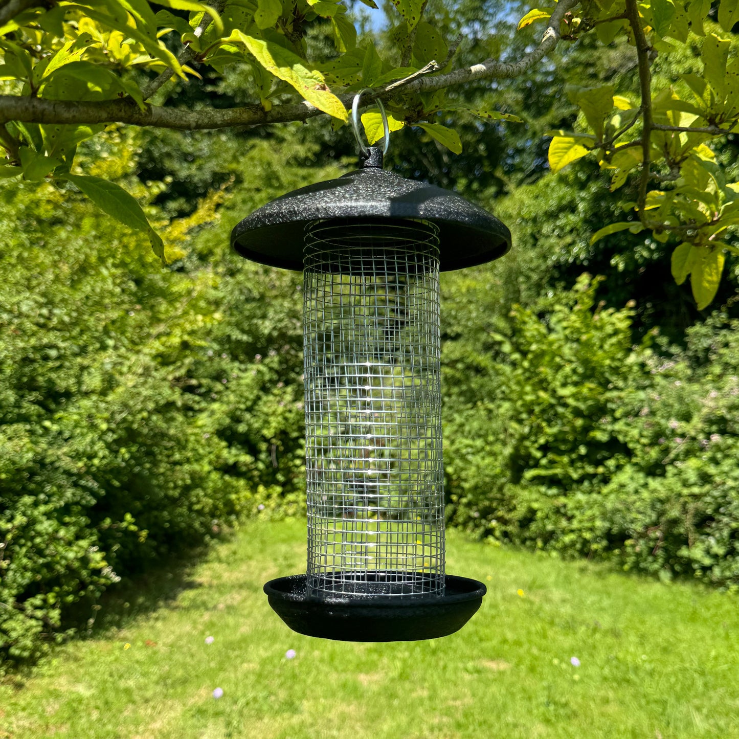 Large Hanging Steel Bird Nut Feeder