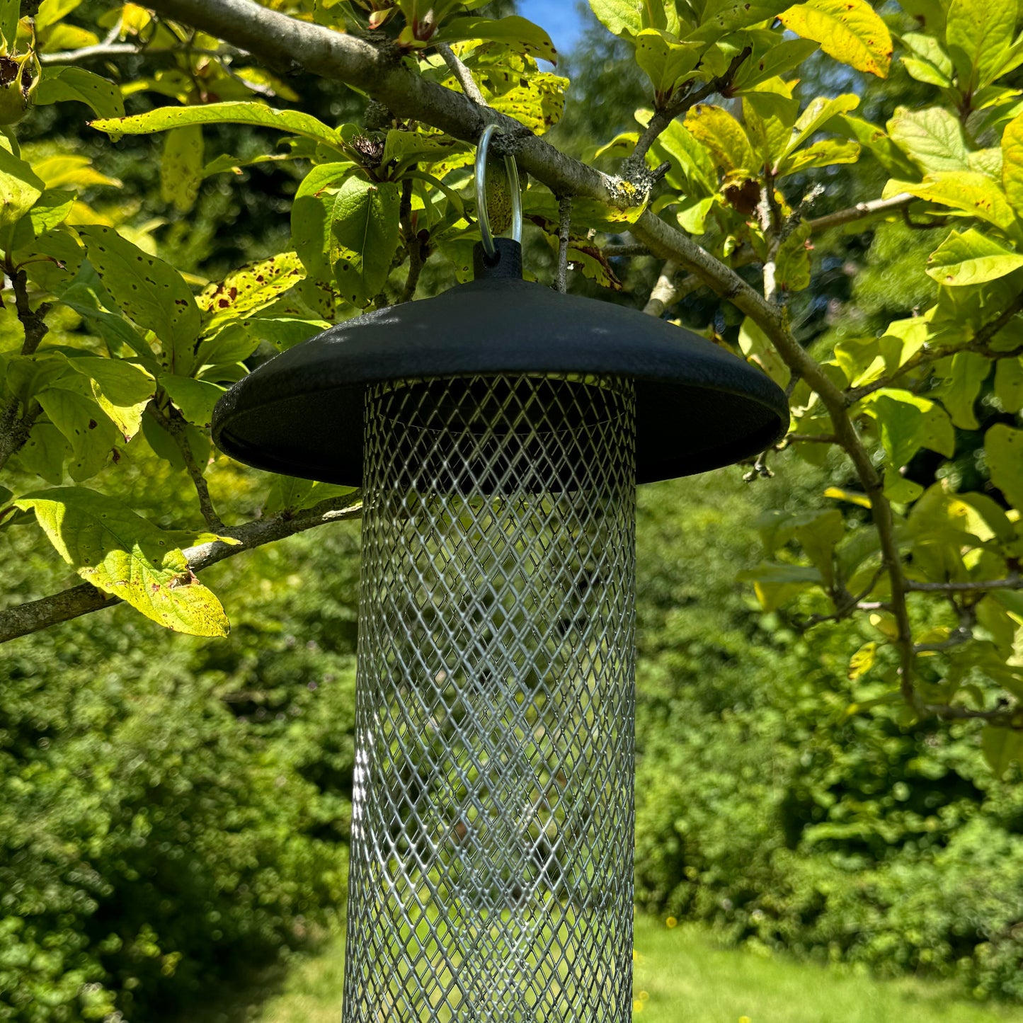 Large Hanging Steel Bird Suet and Fat Ball Feeder