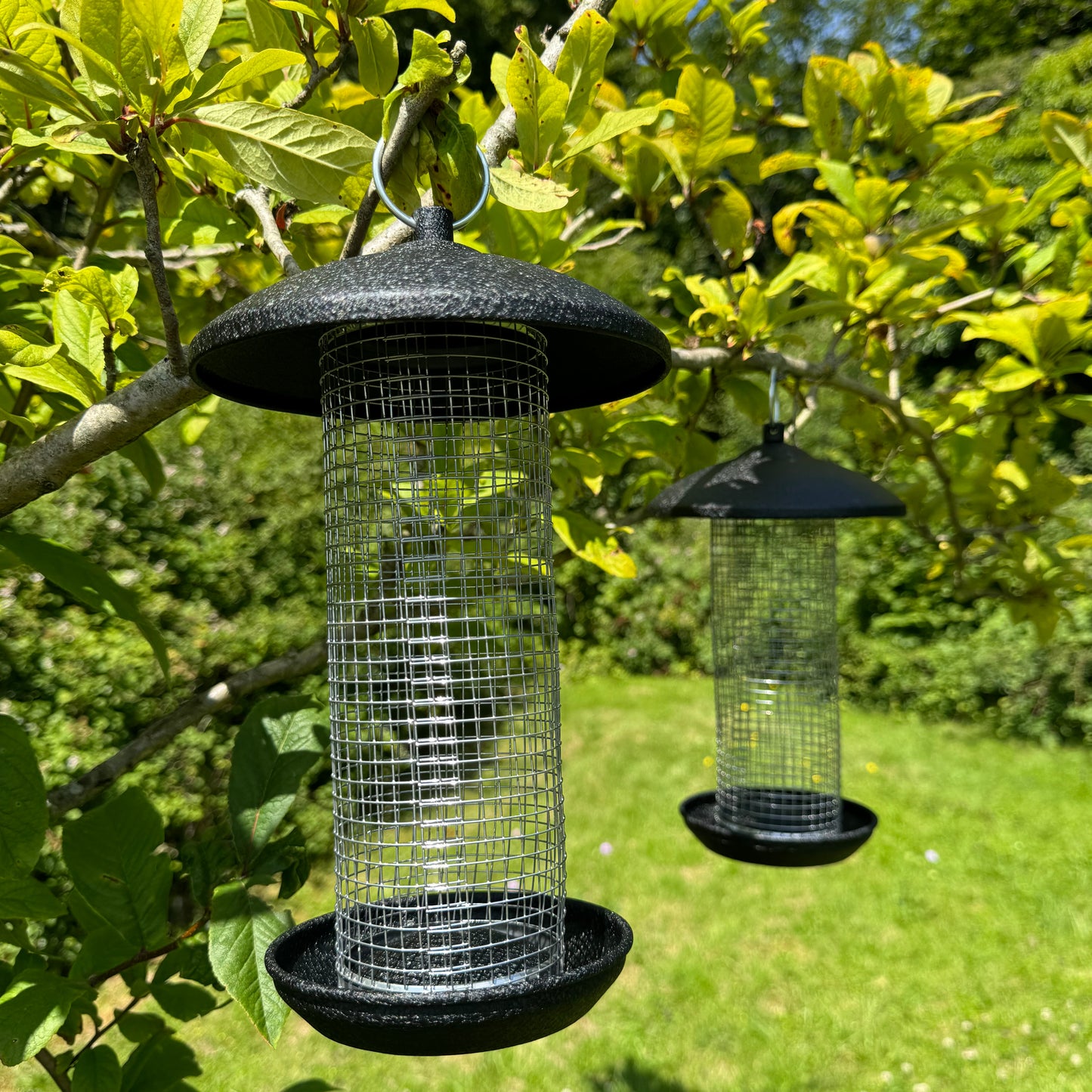 Large Hanging Steel Bird Nut Feeder (Set of 2)