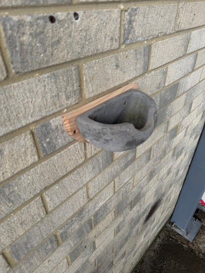 Concrete House Martin Bird Nest Box