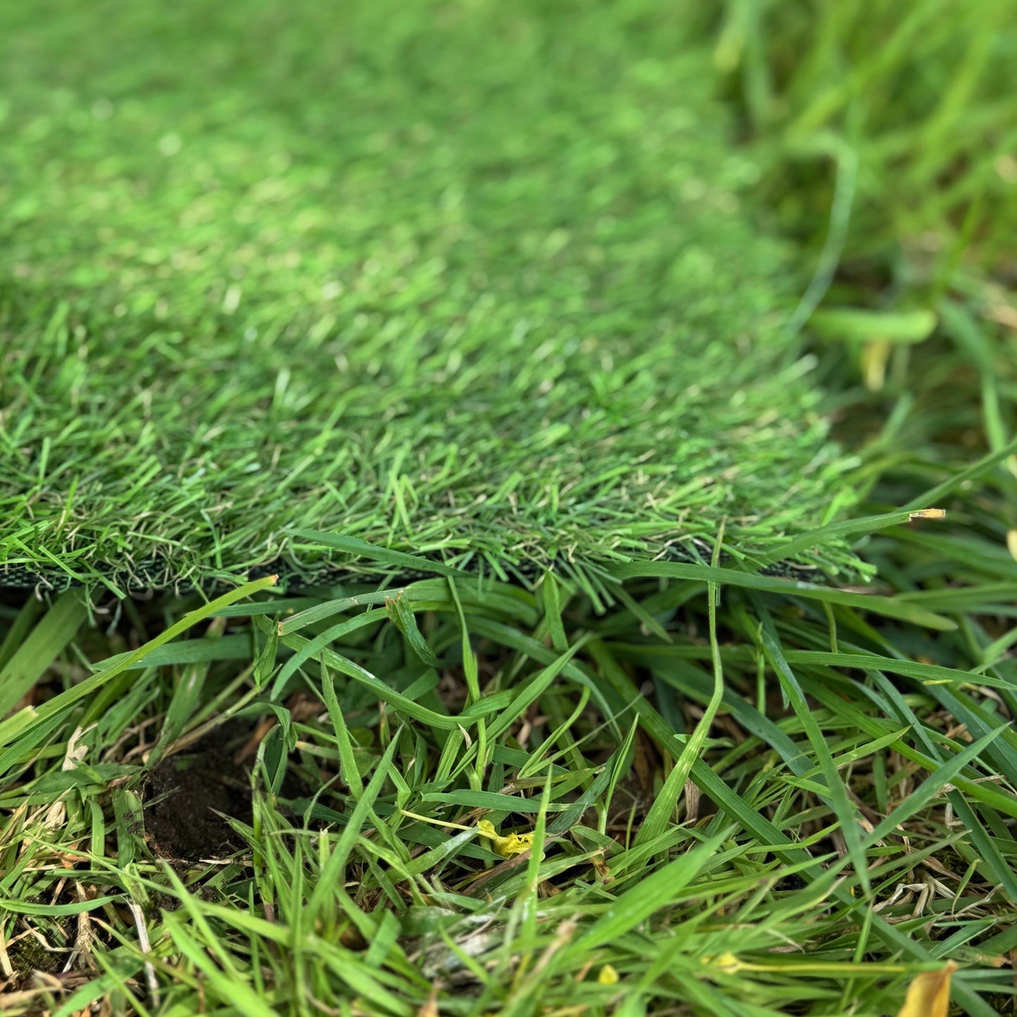 20mm Pile Artificial Lawn Grass (4m x 1m)