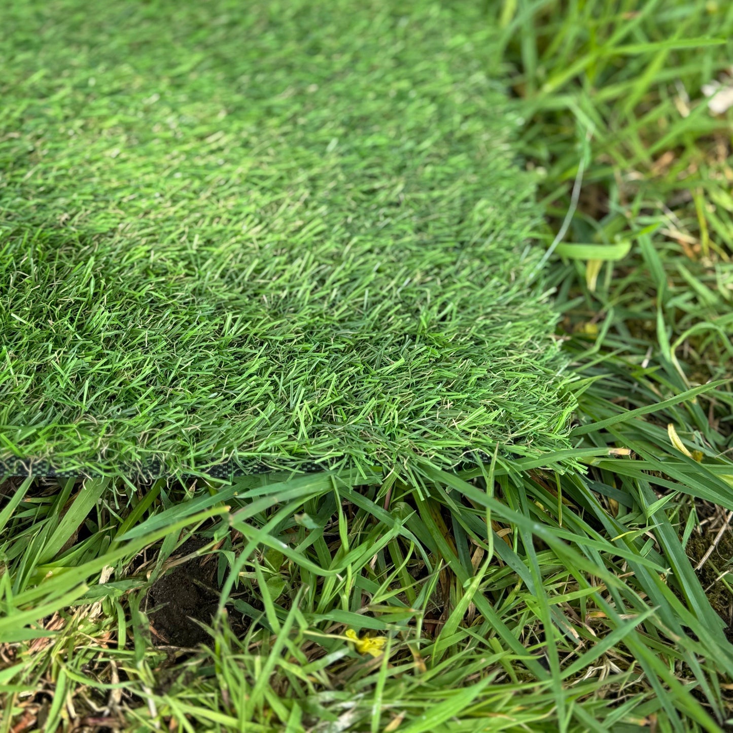 20mm Pile Artificial Lawn Grass (4m x 1m)