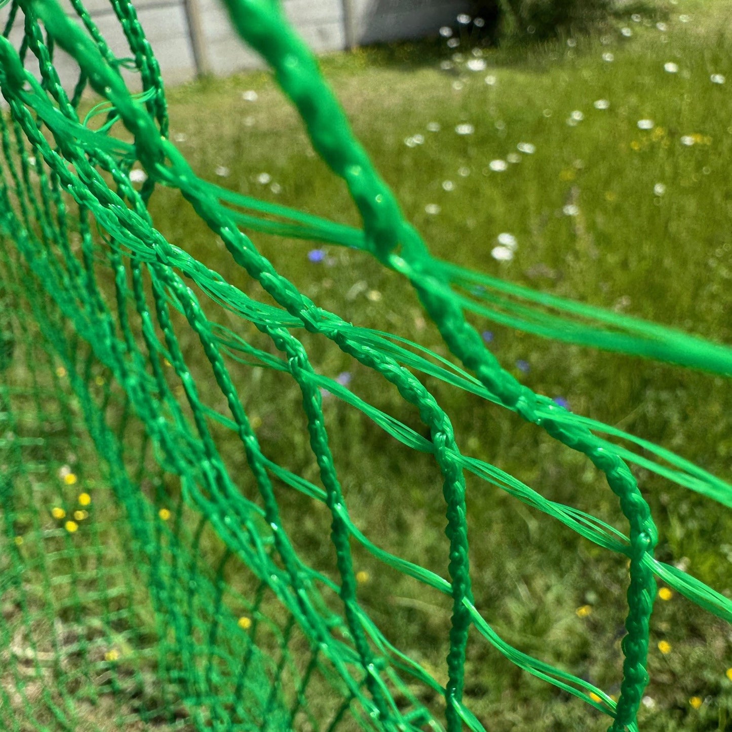 Anti Butterfly Plant Protection Netting (5m x 2m)