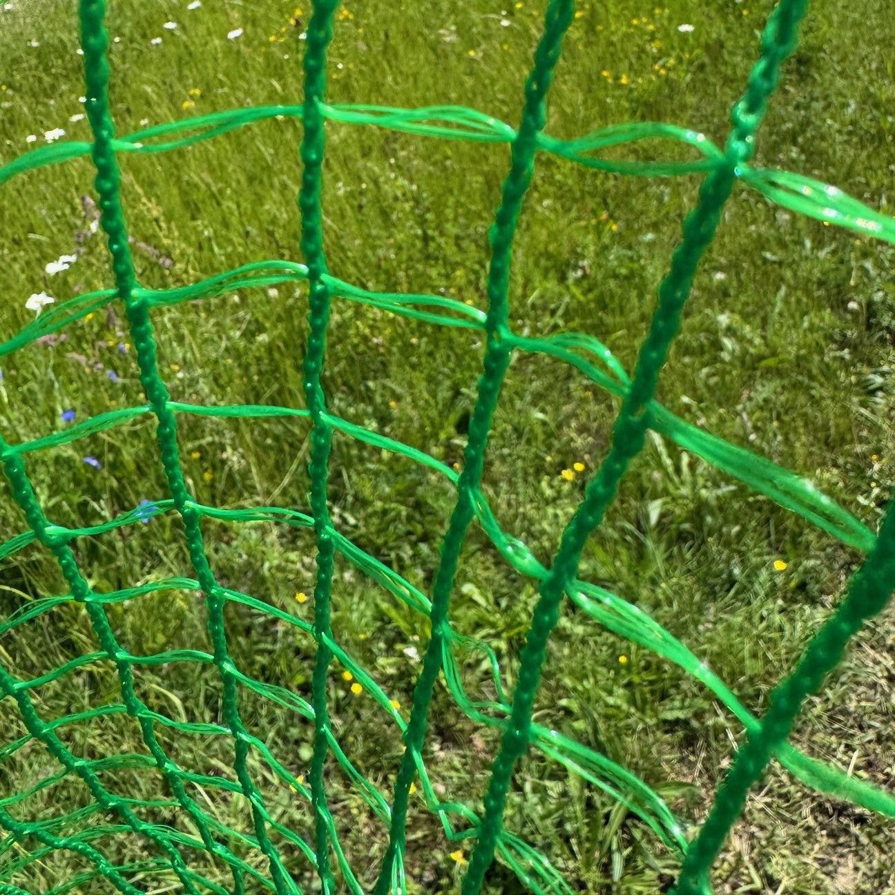 Anti Butterfly Plant Protection Netting (5m x 2m)