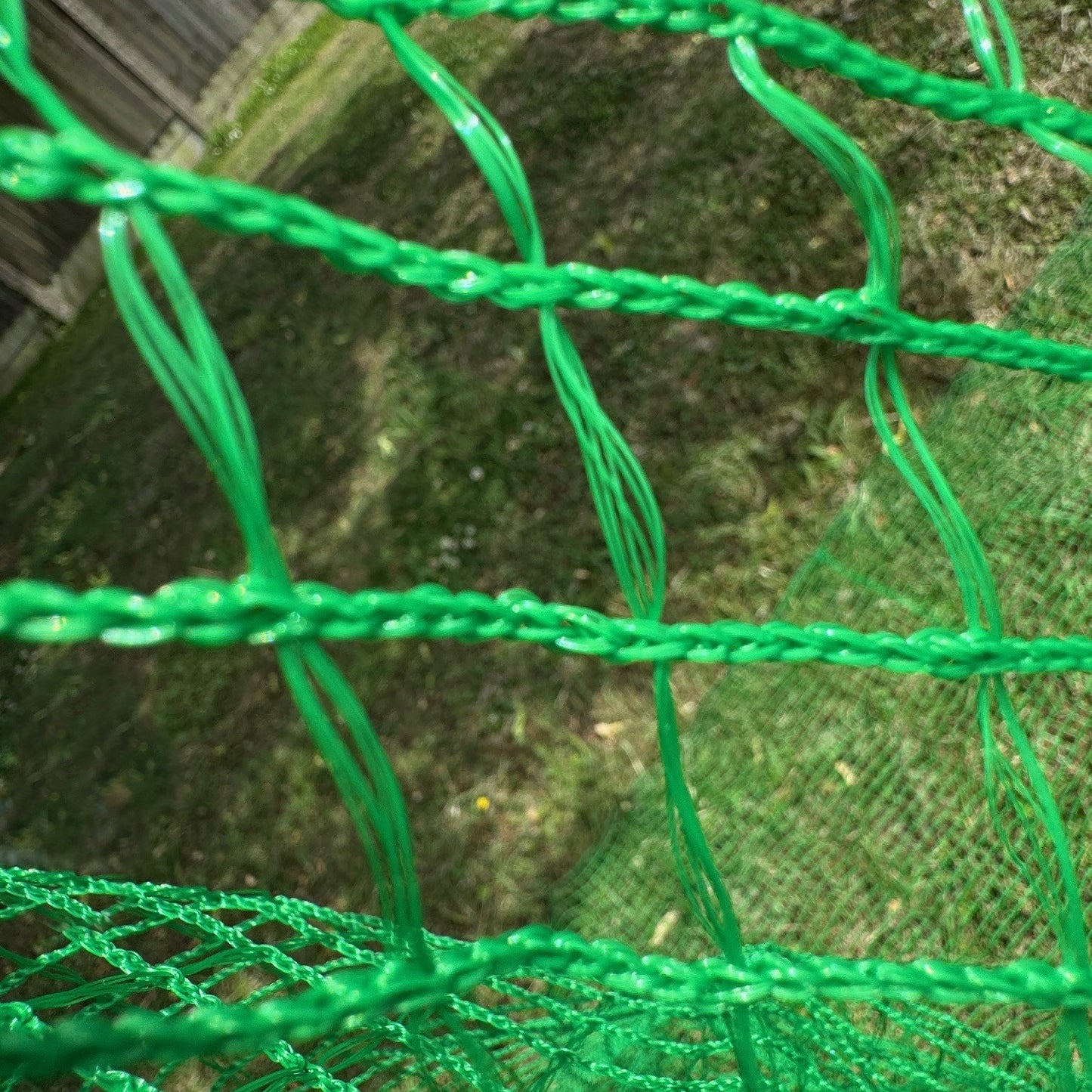 Anti Butterfly Plant Protection Netting (5m x 2m)