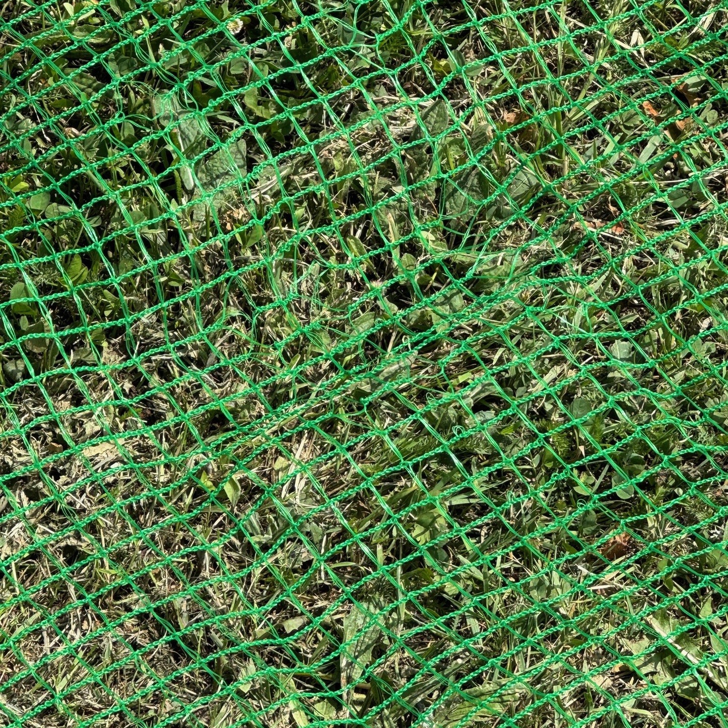 Anti Butterfly Plant Protection Netting (5m x 2m)