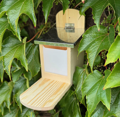 Wooden Wall Mounted Squirrel Feeder with Feeding Platform & Metal Roof (Set of 2)