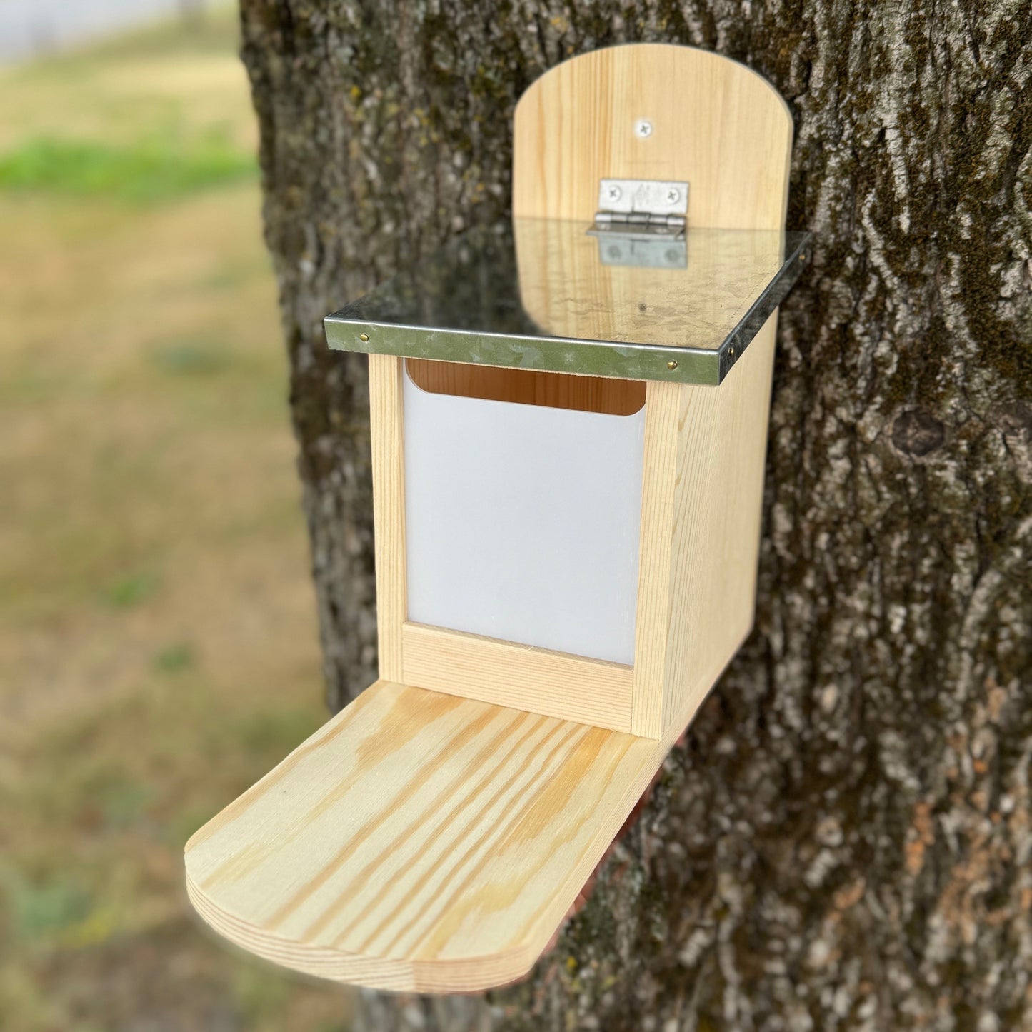 Wooden Wall Mounted Squirrel Feeder with Feeding Platform & Metal Roof (Set of 2)