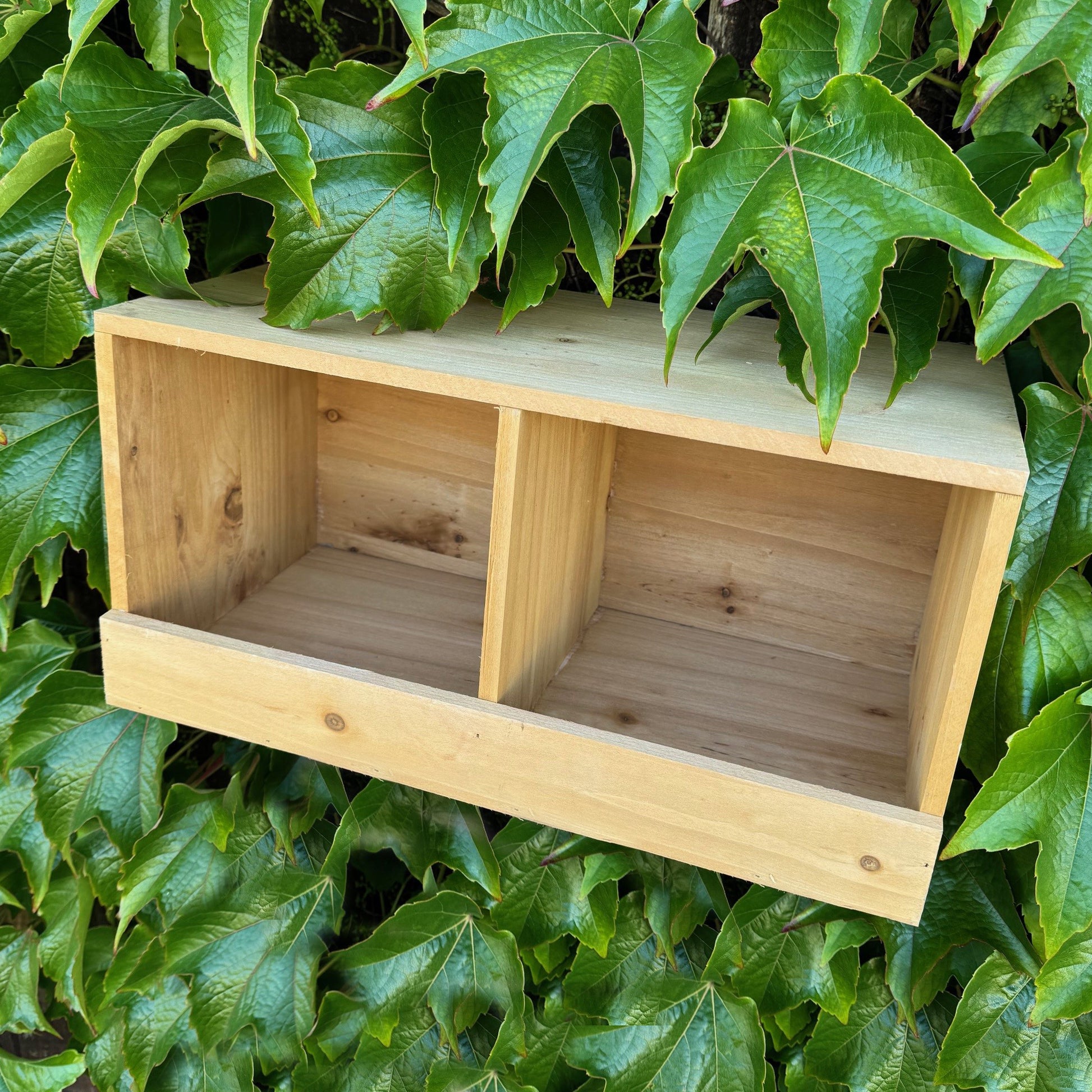 Wooden bird nest box for pigeons against a green leafy background