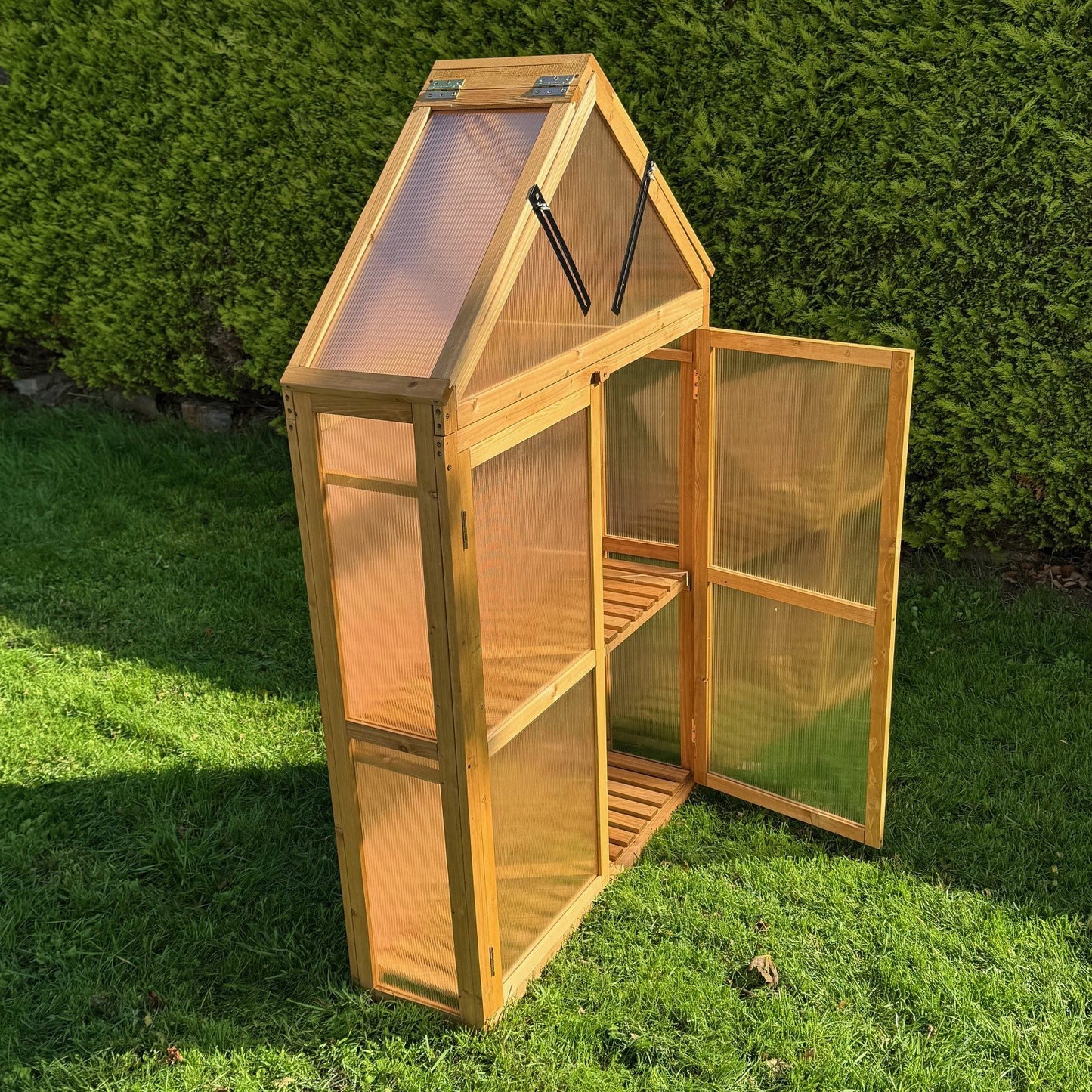 Wooden Framed Polycarbonate Apex Growhouse Mini Greenhouse