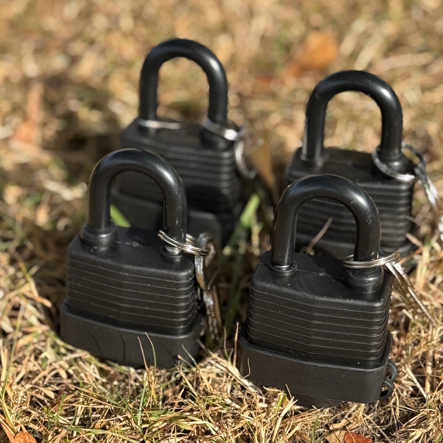 Weather Resistant Outdoor Padlock with 2 Keys (Set of 4)
