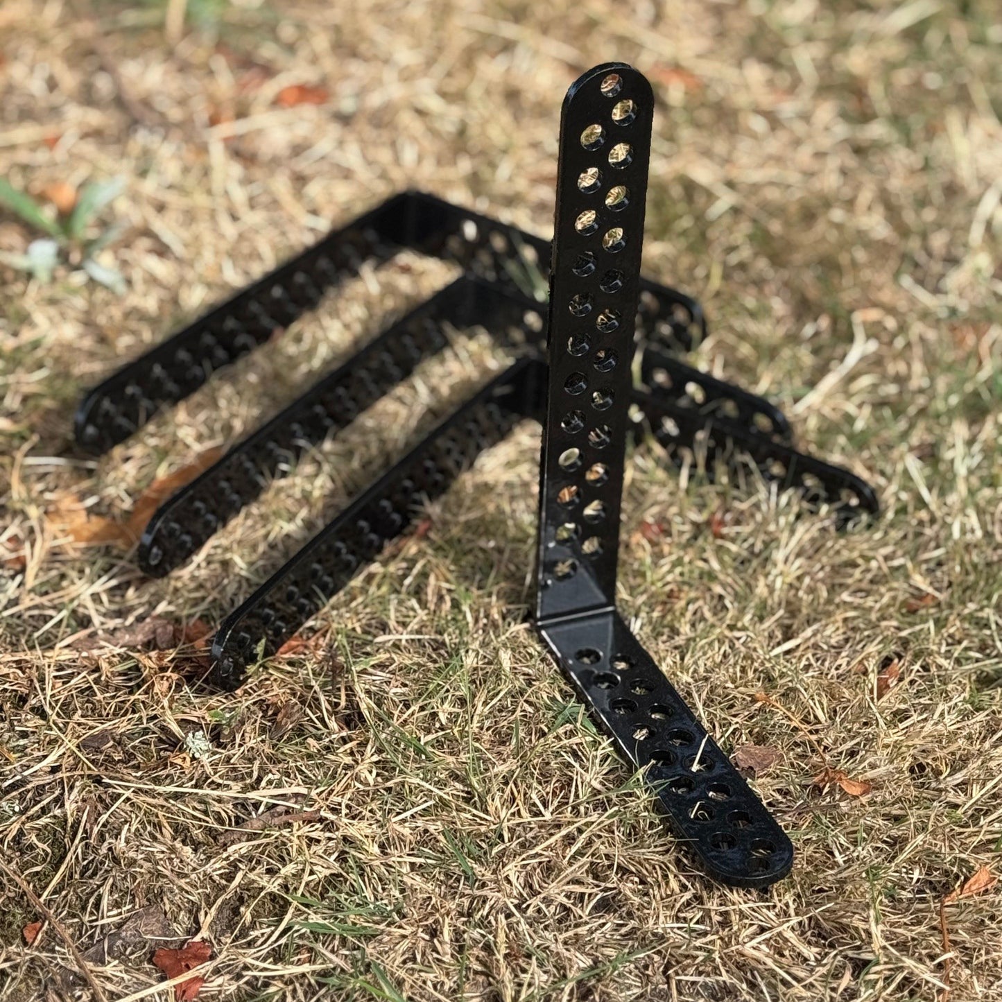 Black metal plant trellis on dry grass