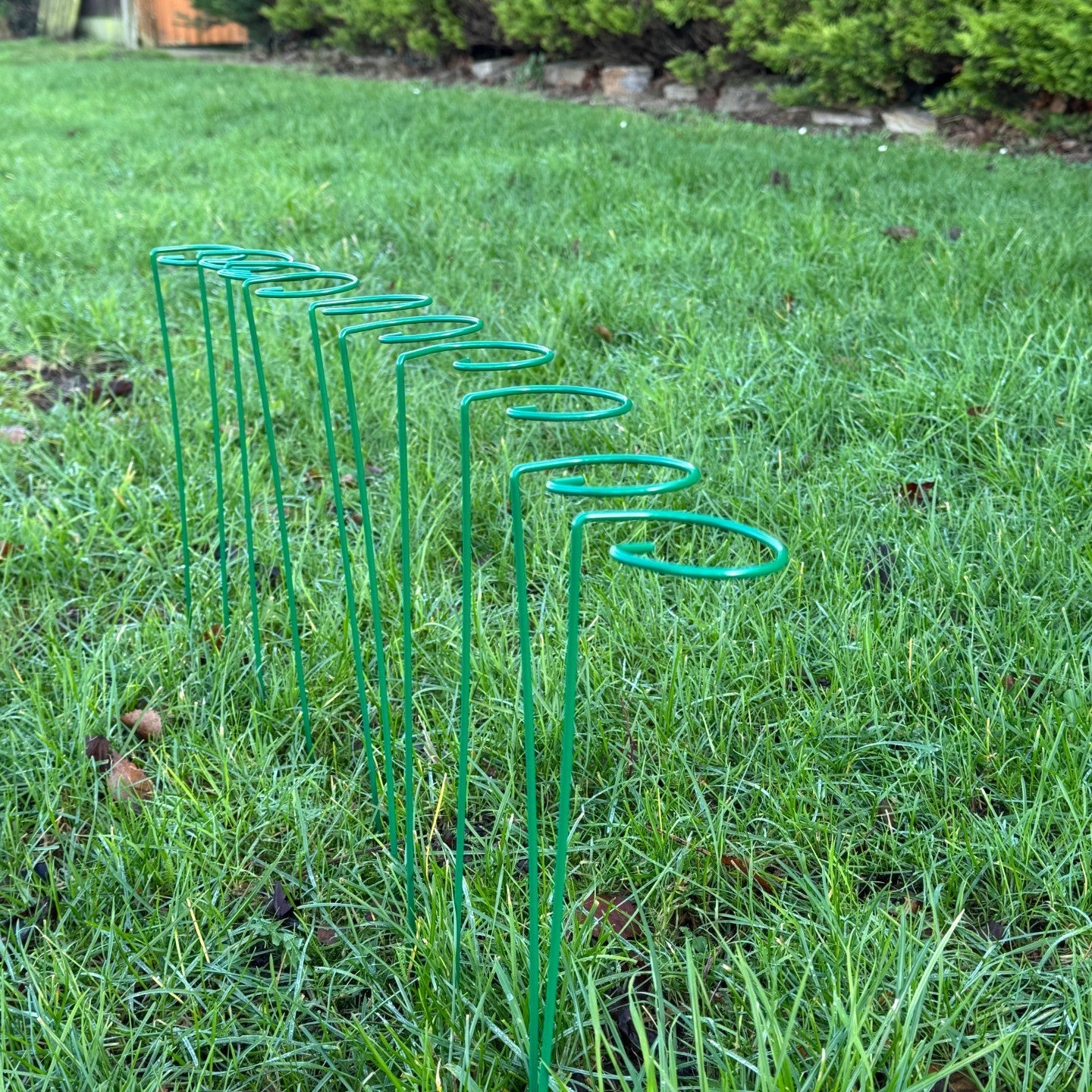 Garden Metal Plant Support Stakes (7cm x 40cm) - Pack of 10