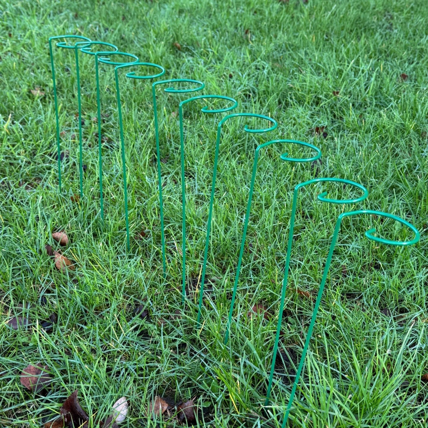 Garden Metal Plant Support Stakes (7cm x 40cm) - Pack of 10