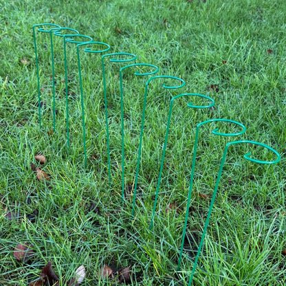 Garden Metal Plant Support Stakes (7cm x 40cm) - Pack of 10