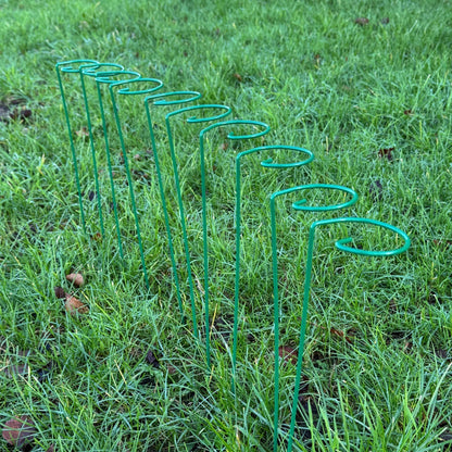 Garden Metal Plant Support Stakes (7cm x 40cm) - Pack of 10