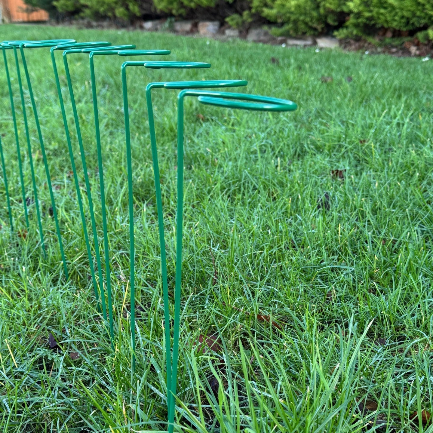 Garden Metal Plant Support Stakes (7cm x 40cm) - Pack of 10