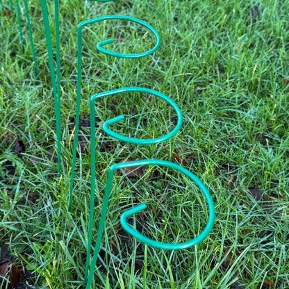 Garden Metal Plant Support Stakes (7cm x 40cm) - Pack of 10