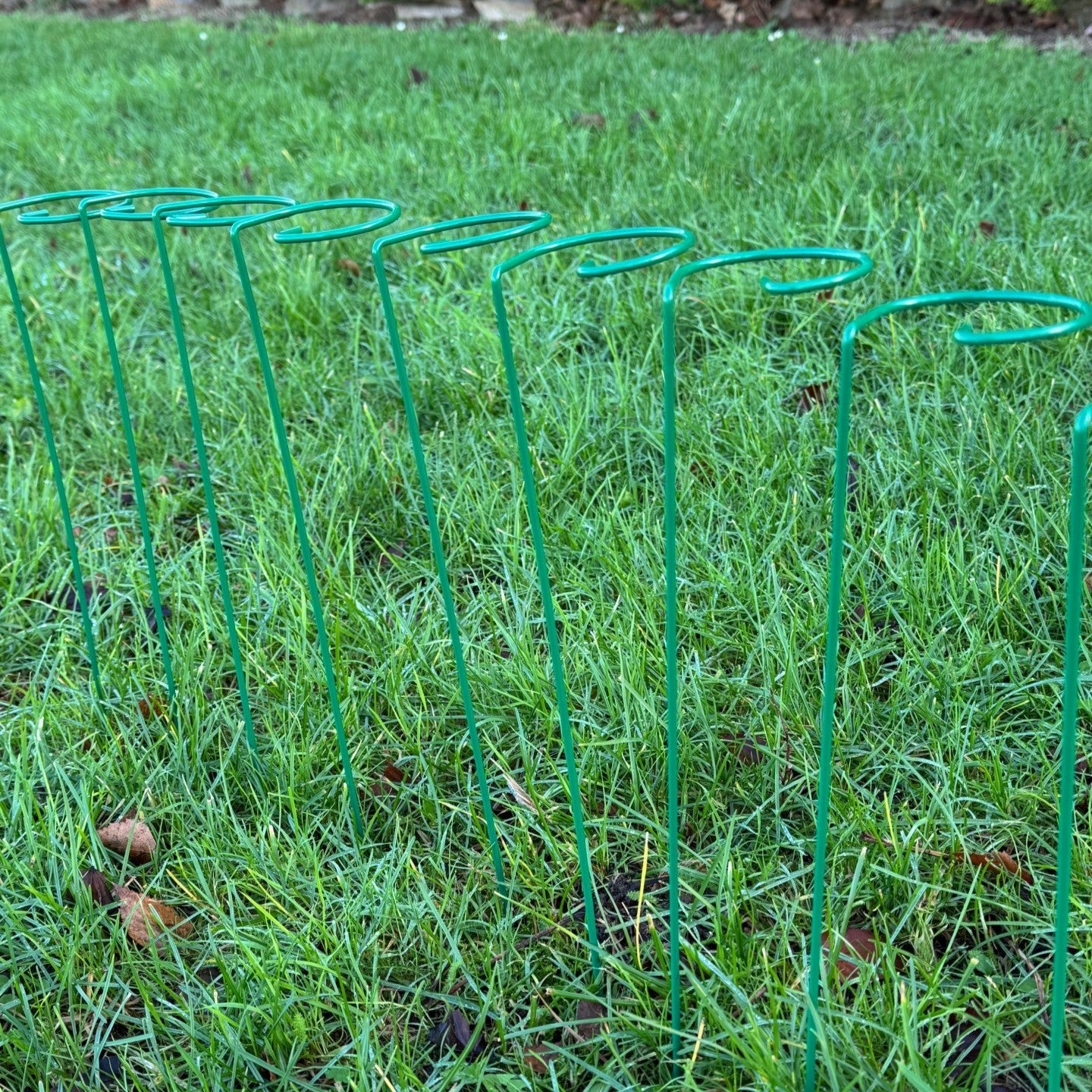 Garden Metal Plant Support Stakes (7cm x 40cm) - Pack of 10