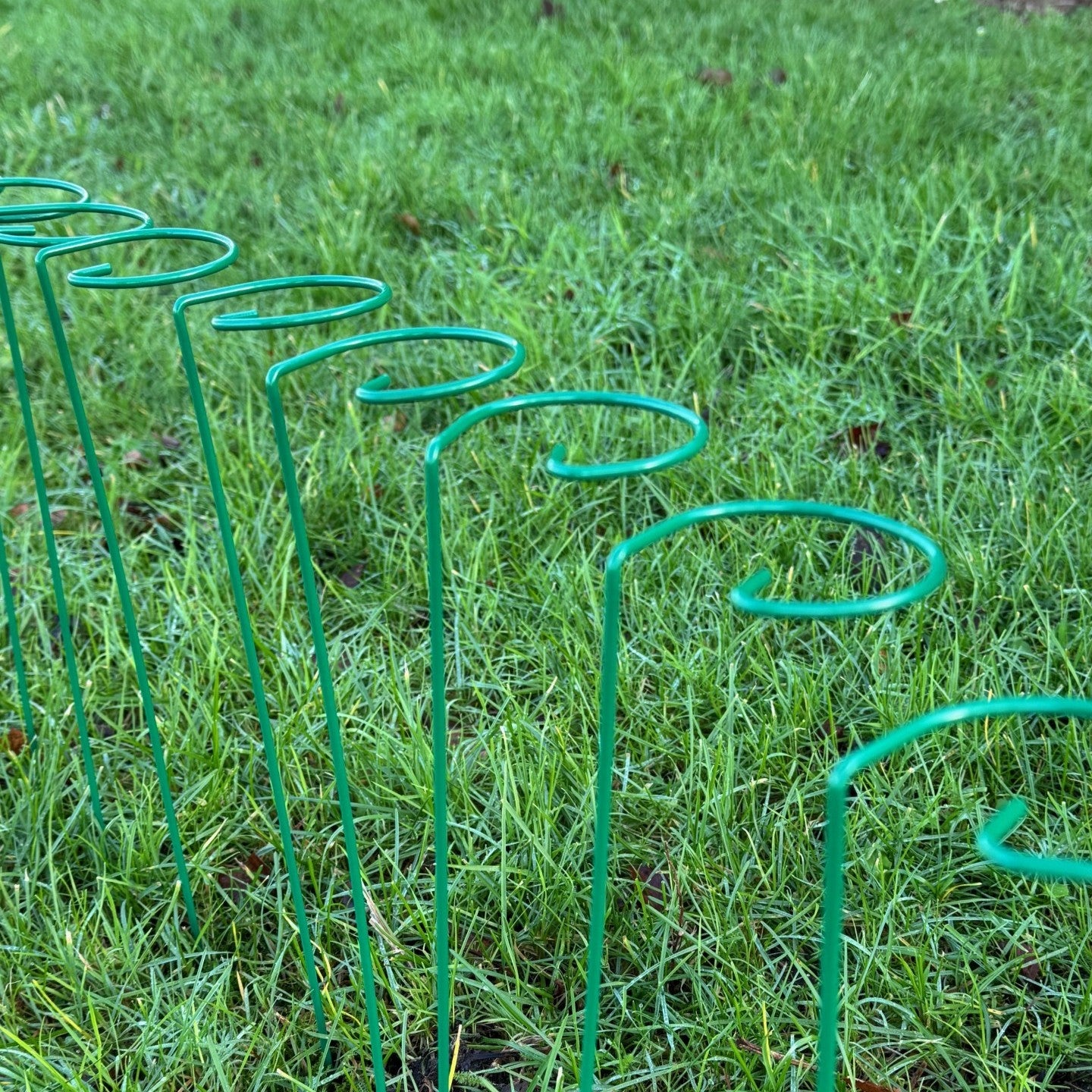 Garden Metal Plant Support Stakes (7cm x 40cm) - Pack of 10