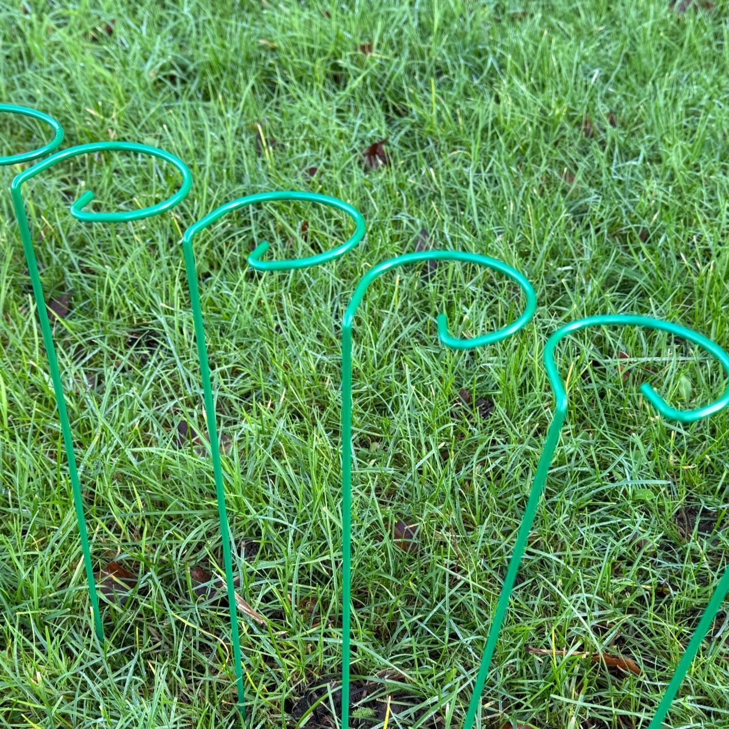 Garden Metal Plant Support Stakes (7cm x 40cm) - Pack of 10