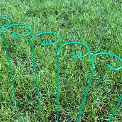 Garden Metal Plant Support Stakes (7cm x 40cm) - Pack of 10