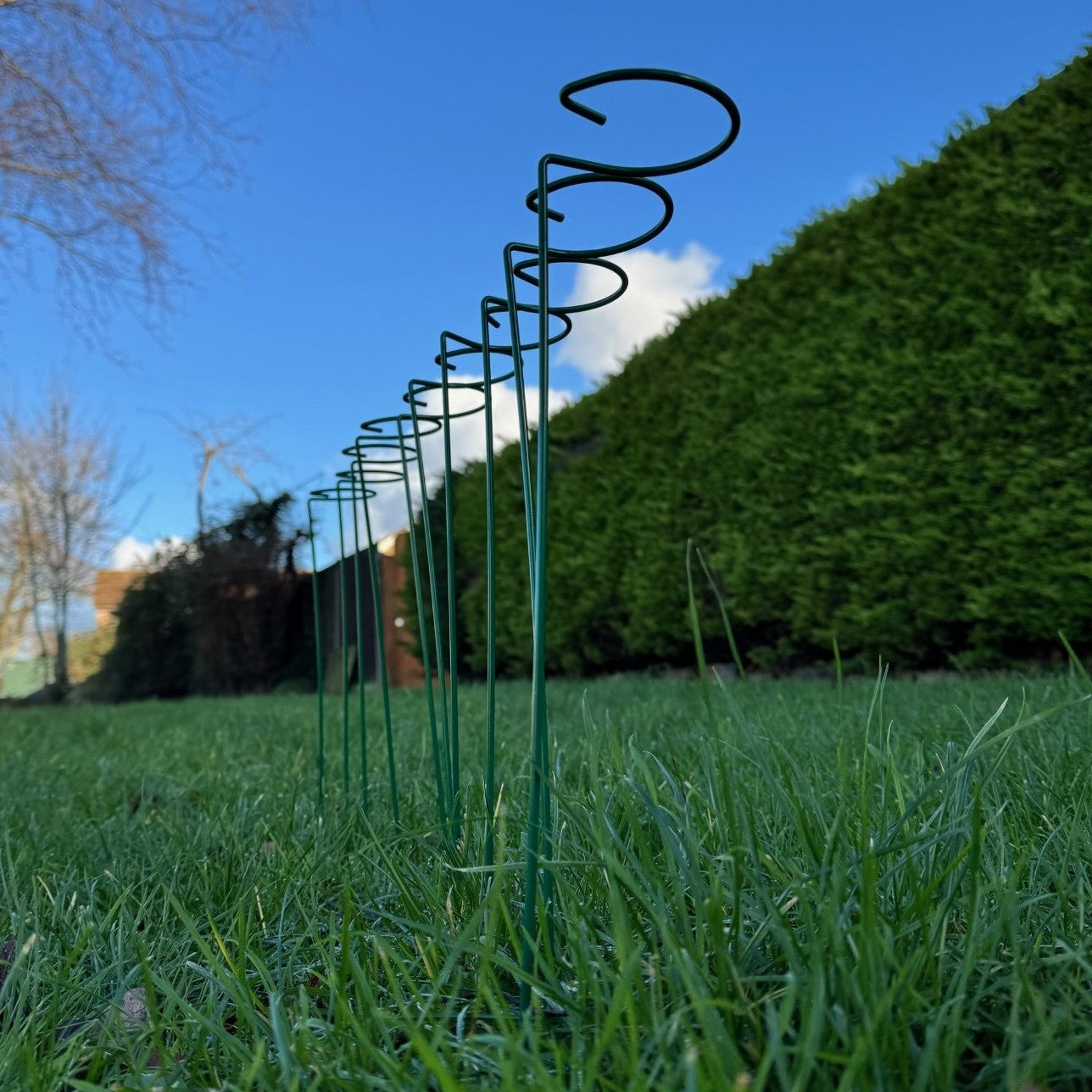 Garden Metal Plant Support Stakes (7cm x 40cm) - Pack of 10