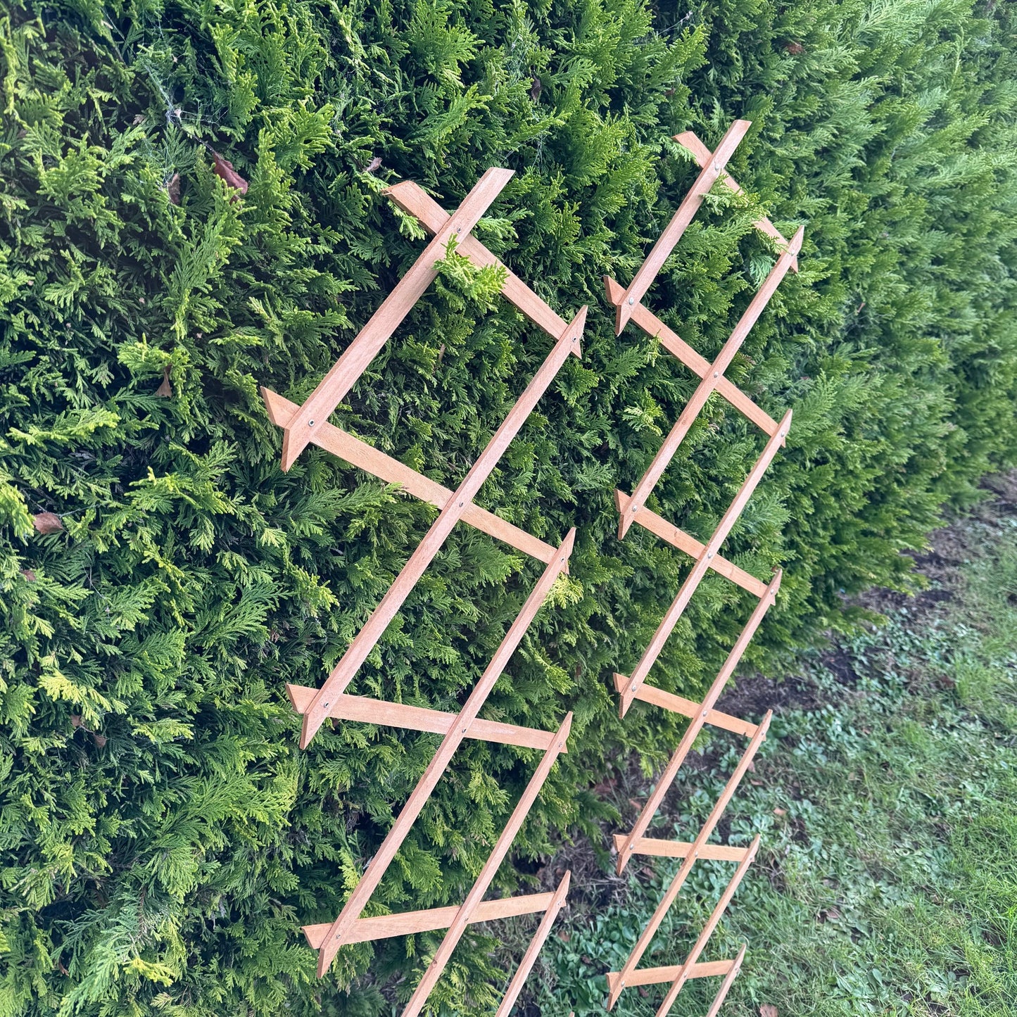 Expanding Wooden Garden Trellis (180cm x 30cm) -  Pack of 2