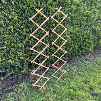 Expanding Wooden Garden Trellis (180cm x 30cm) -  Pack of 2