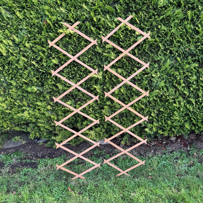 Expanding Wooden Garden Trellis (180cm x 30cm) -  Pack of 2