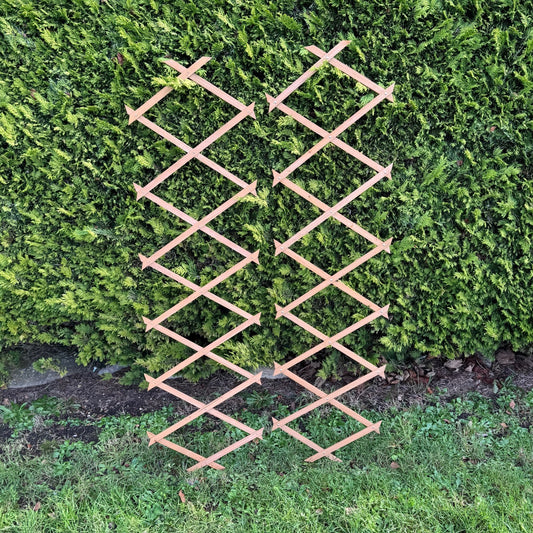 Expanding Wooden Garden Trellis (180cm x 30cm) -  Pack of 2