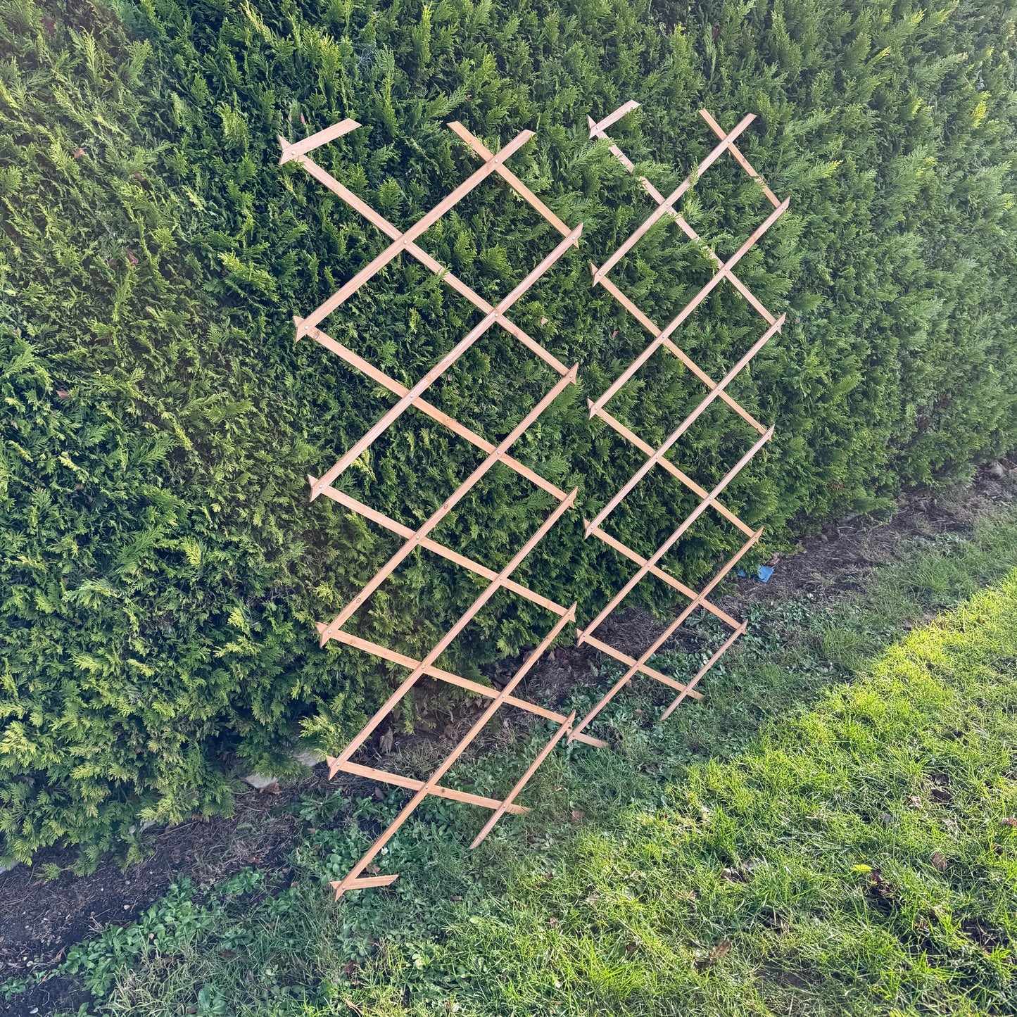 Expanding Wooden Garden Trellis (180cm x 60cm) -  Pack of 2