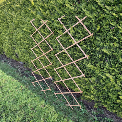 Expanding Wooden Garden Trellis (180cm x 60cm) -  Pack of 2