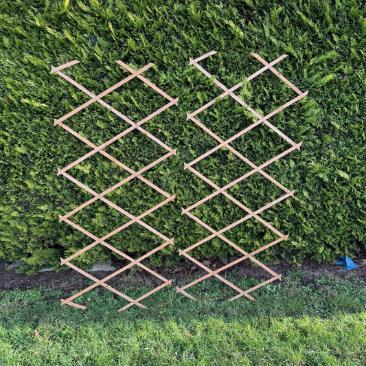 Expanding Wooden Garden Trellis (180cm x 60cm) -  Pack of 2