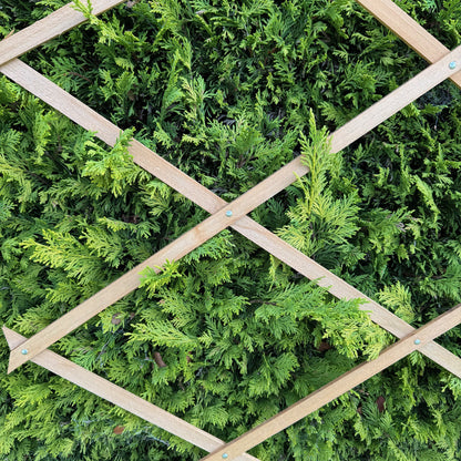 Expanding Wooden Garden Trellis (180cm x 60cm) -  Pack of 2