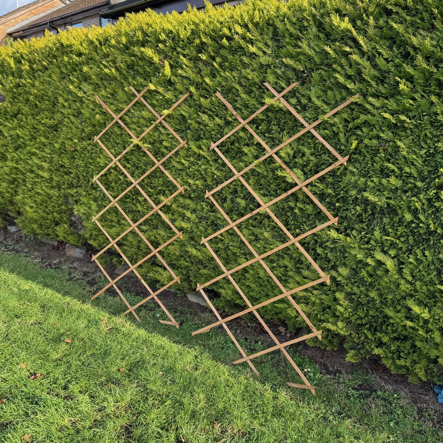 Expanding Wooden Garden Trellis (180cm x 90cm) -  Pack of 2