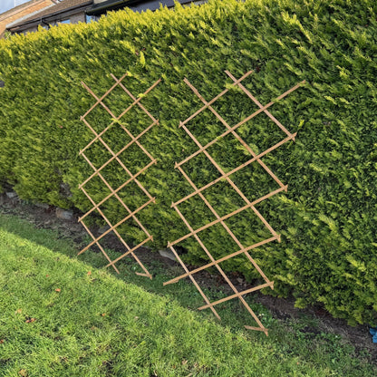 Expanding Wooden Garden Trellis (180cm x 90cm) -  Pack of 2