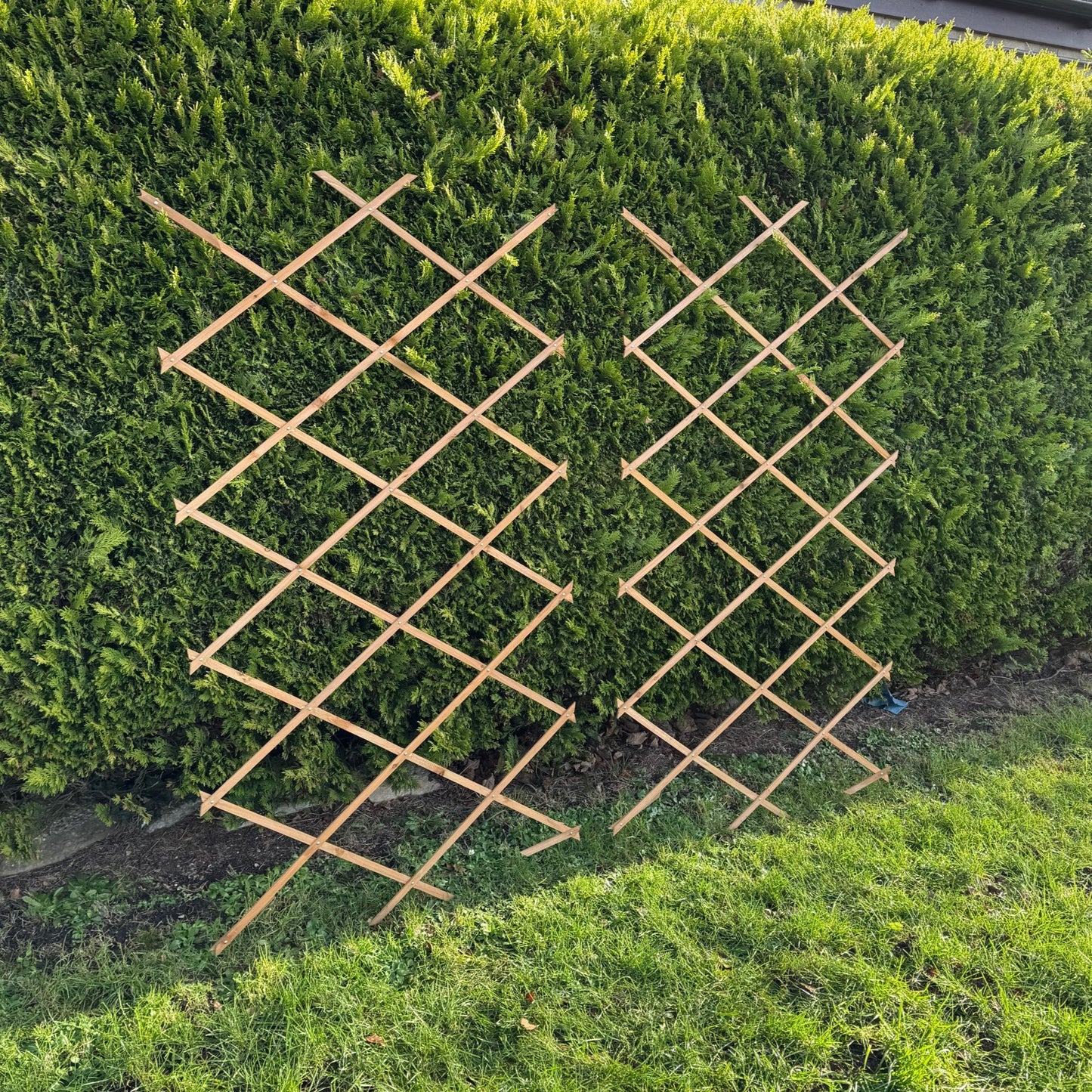 Expanding Wooden Garden Trellis (180cm x 90cm) -  Pack of 2