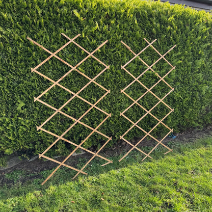 Expanding Wooden Garden Trellis (180cm x 90cm) -  Pack of 2