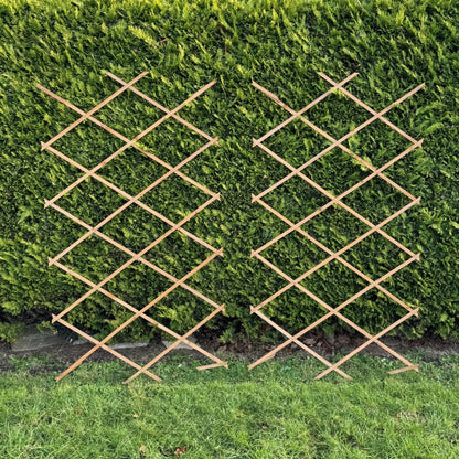 Expanding Wooden Garden Trellis (180cm x 90cm) -  Pack of 2