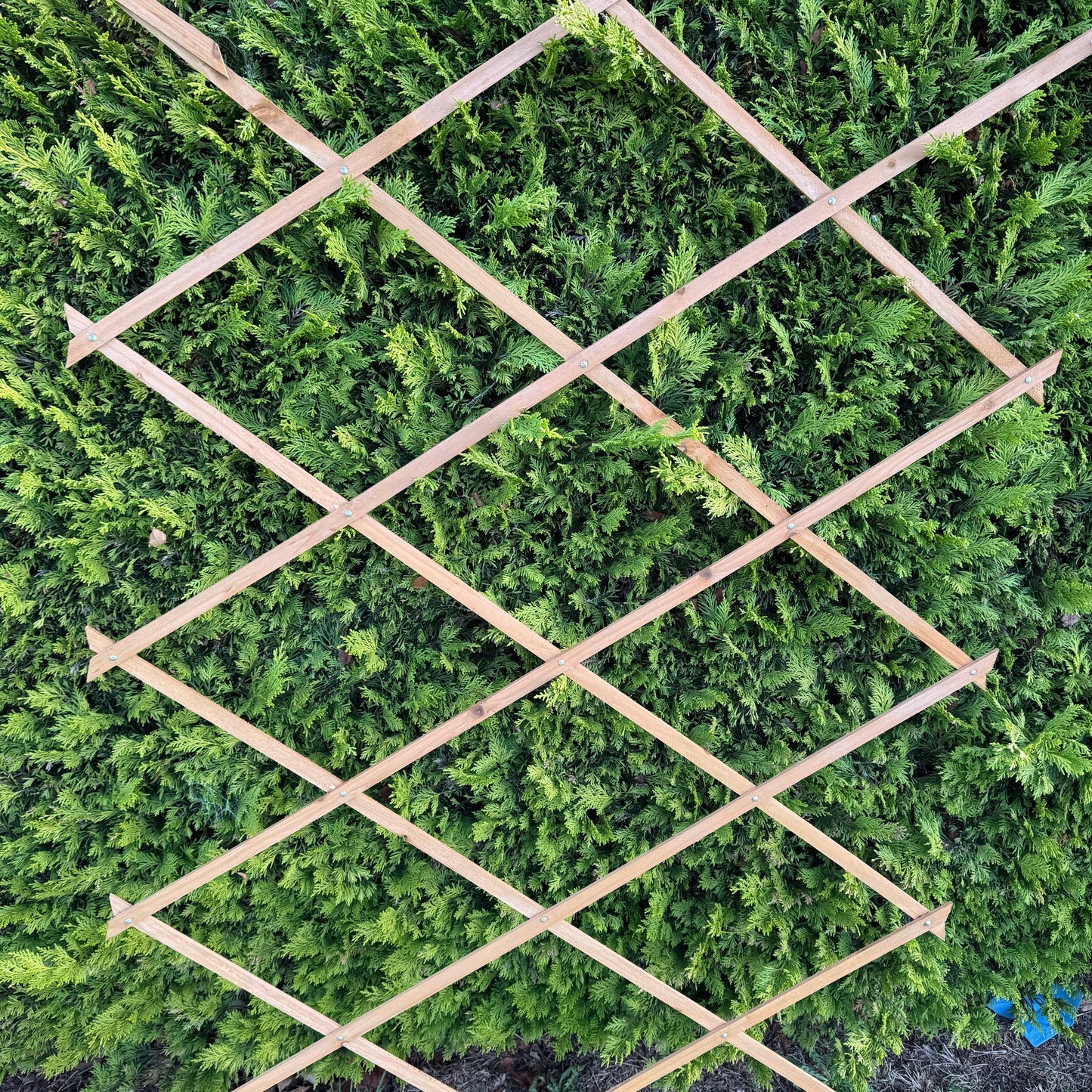 Expanding Wooden Garden Trellis (180cm x 90cm) -  Pack of 2